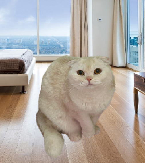 Кот Кузя